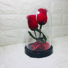 Kırmızı Güller -Ters Fanus Teraryum Sevgililer Günü Hediyesi