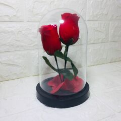 Kırmızı Güller -Ters Fanus Teraryum Sevgililer Günü Hediyesi