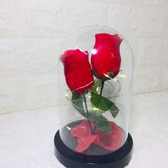 Kırmızı Güller-Işıklı Ters Fanus Teraryum Sevgililer Günü Hediyesi