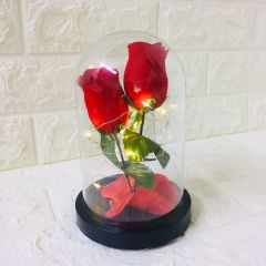 Kırmızı Güller-Işıklı Ters Fanus Teraryum Sevgililer Günü Hediyesi