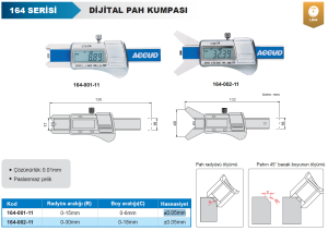 Dijital Pah Kumpası