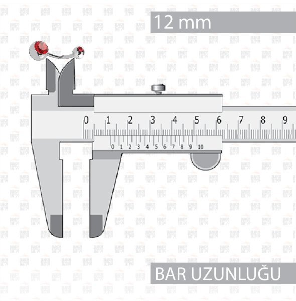 10 Adet Cerrahi Çelik Çift Kırmızı Taşlı Göbek Piercing