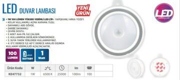 Klaus KE47732 Led Duvar Lambası