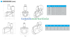 11/4'' Normalde Kapalı Genel Maksat Solenoid Vana DURAVİS ESV 100-06 (0,5 - 12 BAR), (32mm Orifis)