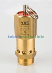 1'' 25 BAR Sabit Basınçlı Mühürlü CE Belgeli Emniyet Ventili YKS-685