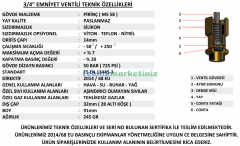 3/4'' 25 BAR Sabit Basınçlı Mühürlü CE Belgeli Emniyet Ventili YKS-640