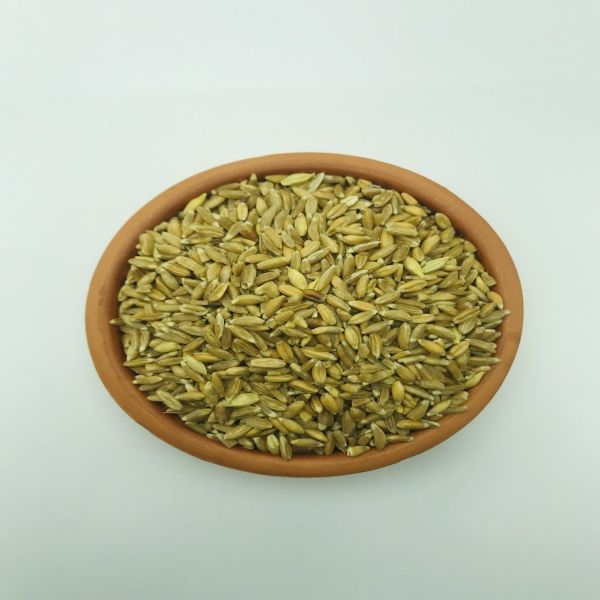 Dinkel (Spelt) Buğdayı 25000 g
