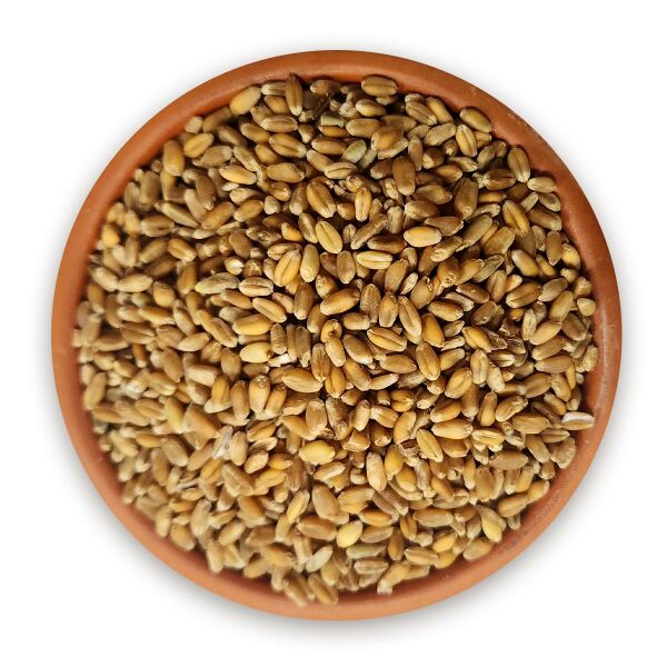 Dinkel (Spelt) Buğdayı 1000 g