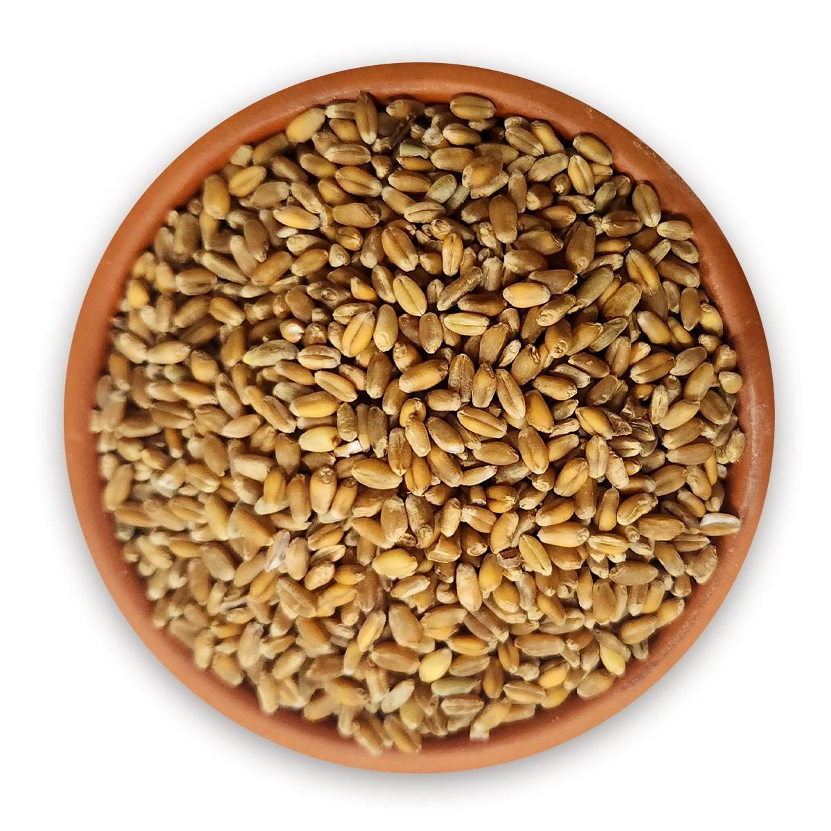 Dinkel (Spelt) Buğdayı 10000 g