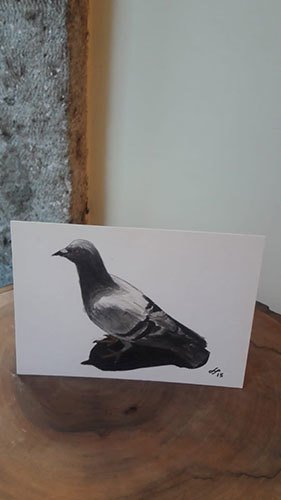 Kartpostal – Güvercin
