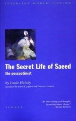 Secret Life of Saeed