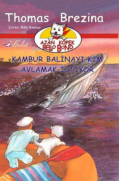 KAMBUR BALİNAYI KİM AVLAMAK İSTİYOR