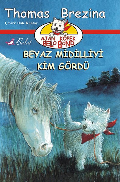 BEYAZ MİDİLLİYİ KİM GÖRDÜ