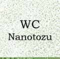 Nano Tungsten Karbür Tozu - Nano WC Tozu