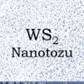Nano Tungsten Disülfür Tozu - Nano WS2 Tozu