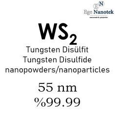 Nano Tungsten Disülfit Tozu 55 nm