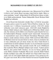 Divan-ı Esad - Muhammed Esad Erbili