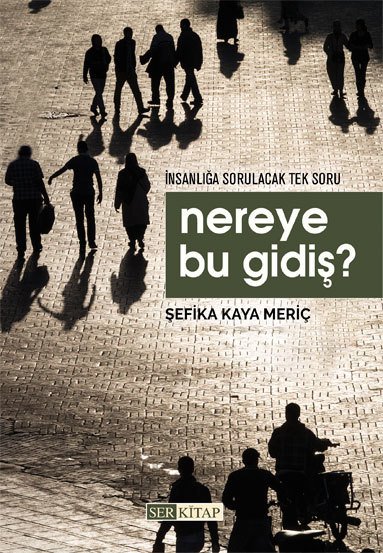 Nereye Bu Gidiş ? - Şefika Kaya Meriç