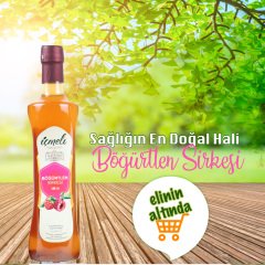 Organik Böğürtlen Sirkesi 500 ml