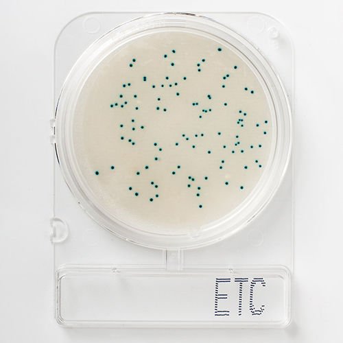 Nissui Pharmaceutical | COMPACT DRY ETC - Enterococcus Sayımı
