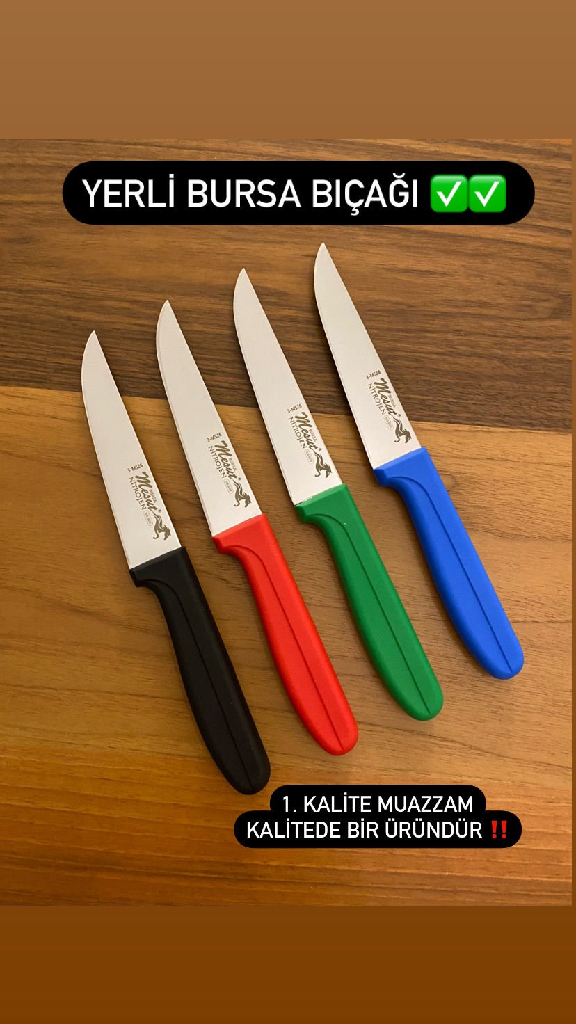 Bursa Bıçağı Genel mutfak bıçağı  25 cm