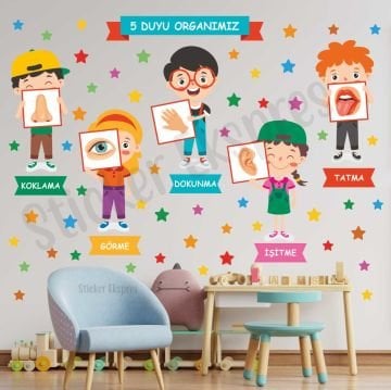 Beş Duyu Organımız Eğitici Anaokulu Çocuk Odası Kreş Duvar Sticker Seti