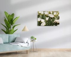 50X70 cm Kanvas - Çiçek Serisi