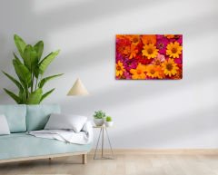 50x70 cm Kanvas - Çiçek Serisi