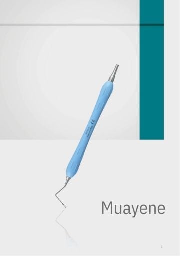 Muayene