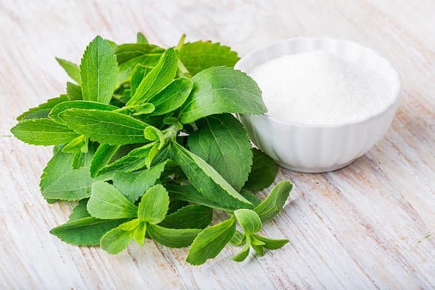 Stevia Nedir?