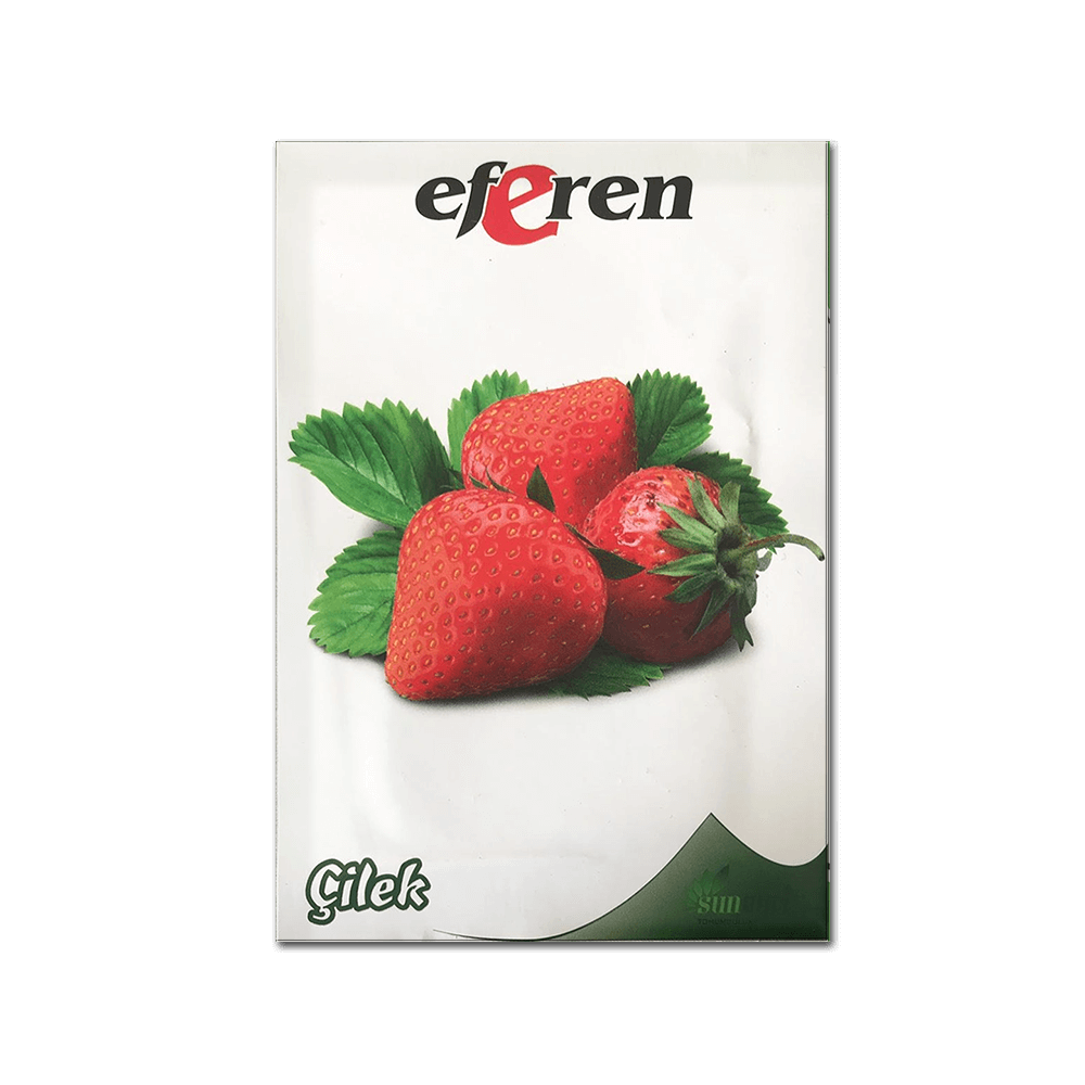 Çilek Tohumu 100 Adet