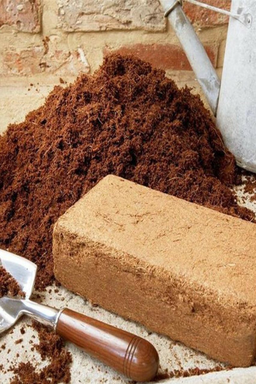 Sıkıştırılmış Torf Cocopeat Hindistan Cevizi Torfu Blok Coco 4,5-5 Kg