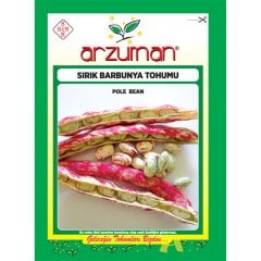 Sırık Barbunya Tohumu-50 Gram