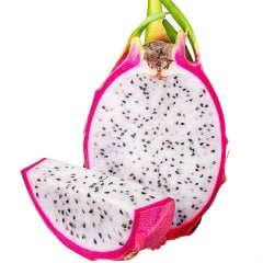 Tüplü Beyaz Pitaya Ejder Meyvesi Fidanı-(60/100 cm)