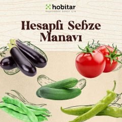 Hobitar Hesaplı Sebze Manavı Tohum Paketi - 6 Çeşit Sebze Tohumu