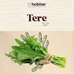 Hobitar Kolay Yetişen Yaze Yeşillikler Sebze Tohumu Paketi - 5 Çeşit Aromatik Tohumu