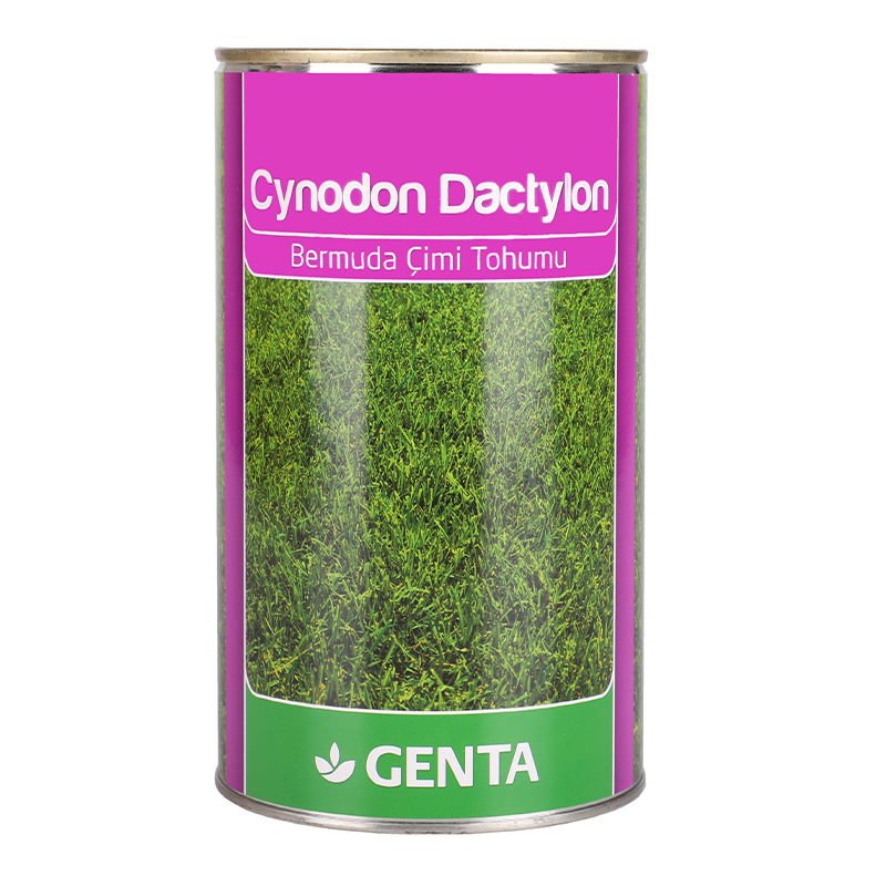 Genta Cynodon Dactylon Bermuda Çim Tohumu 500 Gr