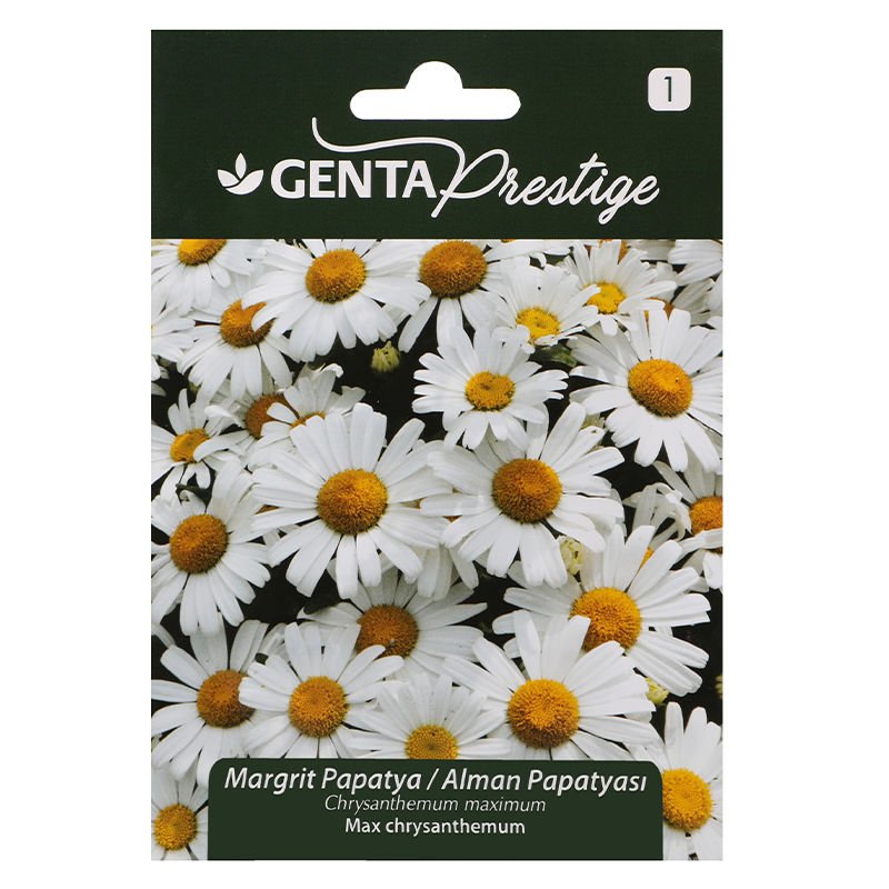 Çiçek Tohumu Margrit Papatya - Alman Papatyası Genta Prestige