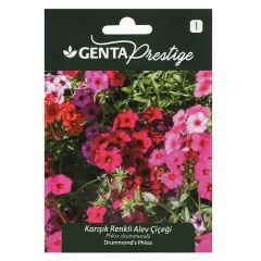 Çiçek Tohumu Karışık Renkli Alev  Çiçeği Genta Prestige