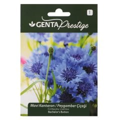 Çiçek Tohumu Mavi Kantaron Peygamber Çiçeği  Genta Prestige