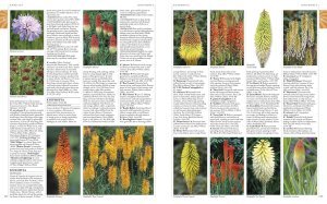 Rhs A-Z Encyclopedia Of Garden Plants 4T - Kolektif