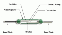 Reed Contact (Reed Relay)