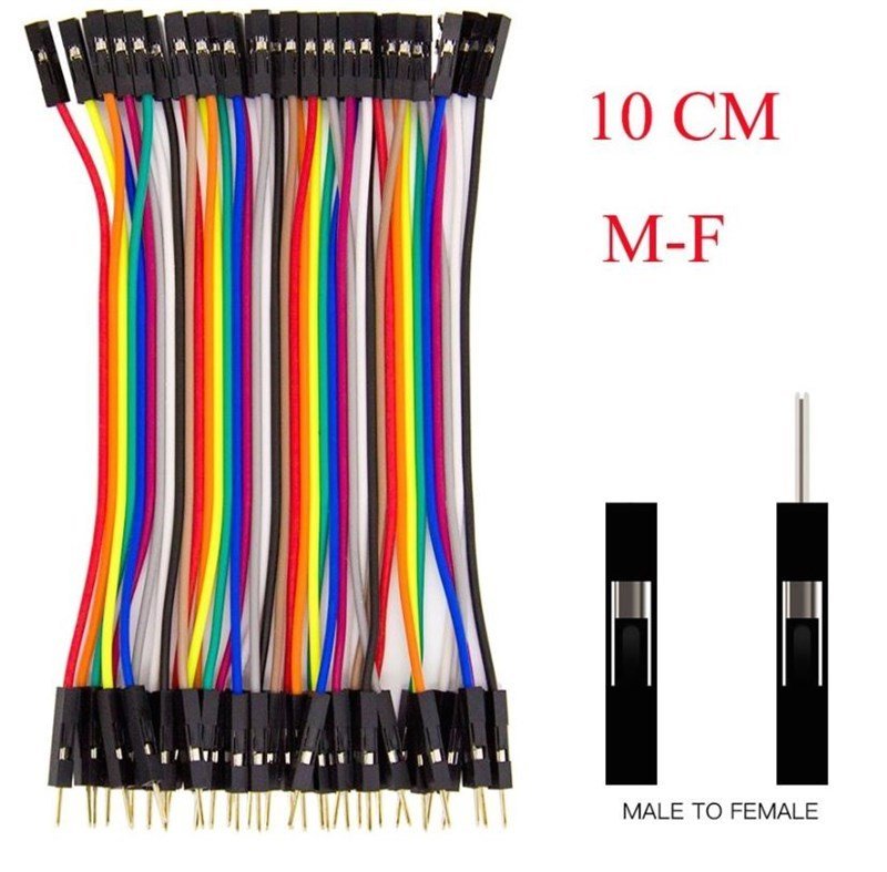 40 Pin Detachable Male-Female Jumper Cable (100mm)
