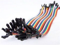 40 Pin Detachable Female-Female Jumper Cable (300mm)