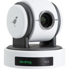 BirdDog Eyes P100 Full Ndı Ptz Kamera (Black-White)