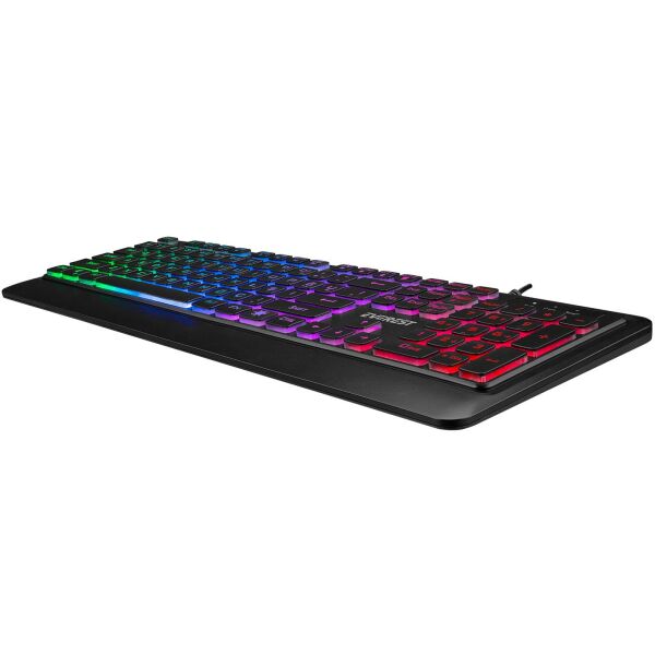 EVEREST KM-R59 FORZA PLUS SİYAH RAINBOW Q KLAVYE+MOUSE SET