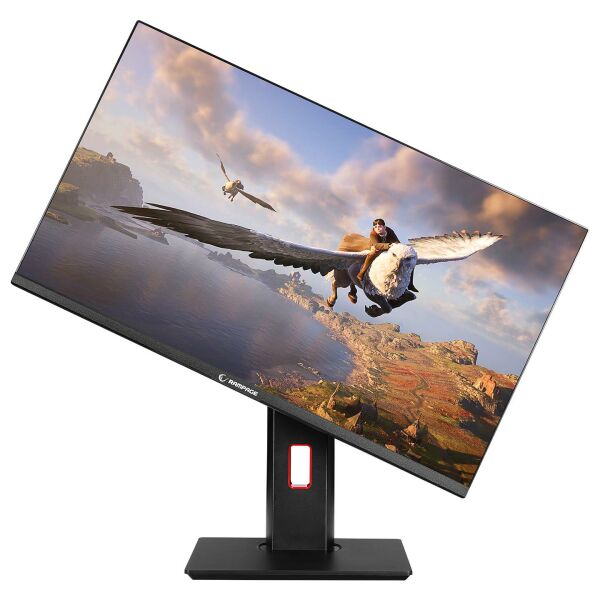 RAMPAGE RAGE RG24R165 24'' LED MONITOR