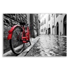 Kırmızı Bisiklet Siyah Beyaz Tablosu - BLK114