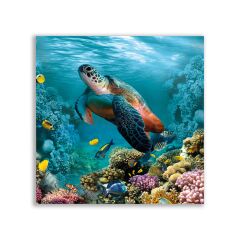 Su Altı Dünyası Kaplumbağa Tablosu - ANL119