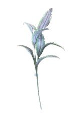 mart yaprağı yeşil 100 cm yapay çiçek
